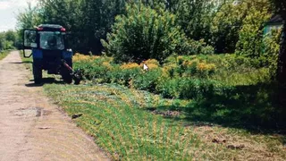 В Ряжском районе трактор косой убил женщину 58 лет