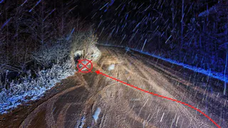 Пьяный лихач без прав перевернулся в кювет на лесной трассе в Коми