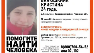 Пропавшая рязанка может быть на Театральной площади