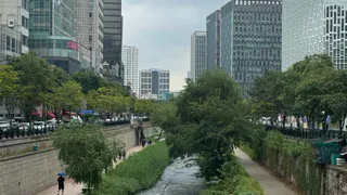 Друг уехал в США 5 лет назад, но всё не может перестать удивляться причудам американцев