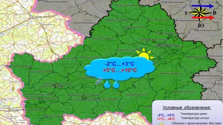 Жителей Брянской области 2 ноября ожидает температура до +10 градусов