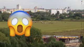 В Рязани обнаружили «минное поле»