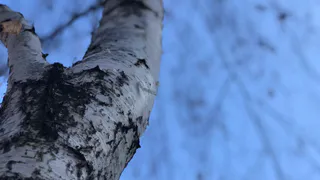 Синоптики рассказали о погоде в воскресенье