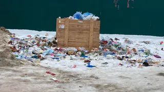 Полная антисанитария: в поселке Канищево вместо мусорных баков стоит деревянный ящик