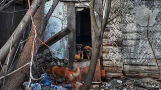 Мусорное царство в центре города: читатель жалуется на огромную свалку на ул. 2-я линия