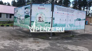 В лагерях Пензенской области в 2024 году найдены грубые нарушения при организации отдыха детей