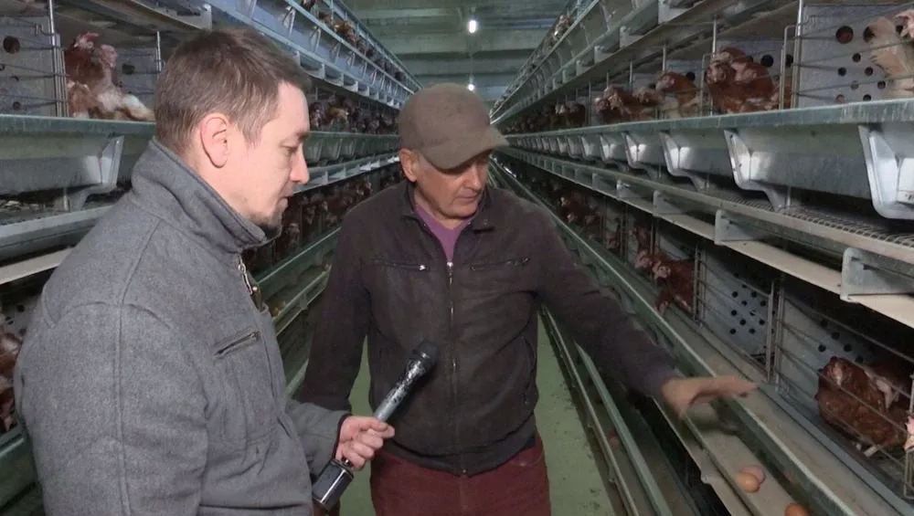 Как нижнекамские продукты попадают на ярмарочные прилавки