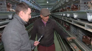 Как нижнекамские продукты попадают на ярмарочные прилавки