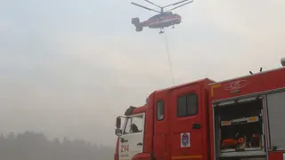 МЧС возбудило уголовное дело из-за крупных лесных пожаров под Рязанью