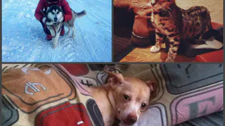 Инстаграм рязанцев: счастливы вместе, новый друг и минуты блаженства