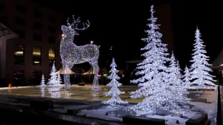 Сквер Лемаева украсит необычная ёлка и скульптуры животных