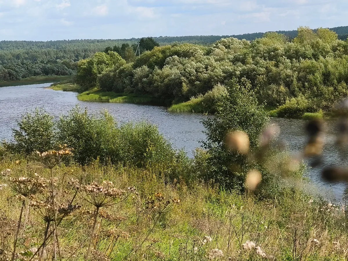 Бабье лето 2024: Уже названы точные даты. Сколько продержится летнее тепло в этом году