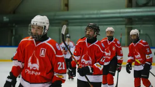 Владимирские спортсмены взяли десятки медалей, хоккеисты впервые вышли в плей-офф