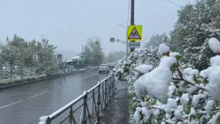В середине лета вернется зима и выпадет снег: погода с 18 июля преподнесет суровый "подарок"
