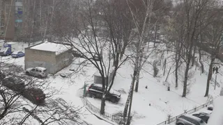 Будьте внимательны: в понедельник в Рязани ожидается туман