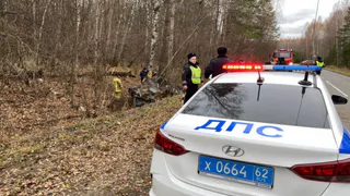 МВД подтвердило смерть четырех человек в ДТП в Касимовском районе