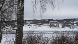 В Рязани, на Ореховом озере, десантники устроят массовый заплыв
