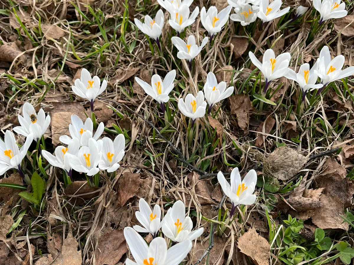 Первый день апреля принесет жителям Южного Урала по-настоящему весеннюю погоду
