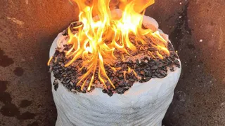 В Канаше сожгли 75 кг зараженных семечек