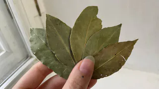 Лавровый лист всегда держу в кошельке — и всем советую: вот как это действует — странно, но работает