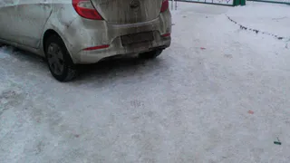 Из-за неправильной парковки авто дети в садике остались без молока