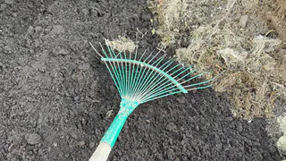 5 овощей, которые я высаживаю под зиму уже 15 лет. Весной собираю урожай на месяц раньше всех соседей