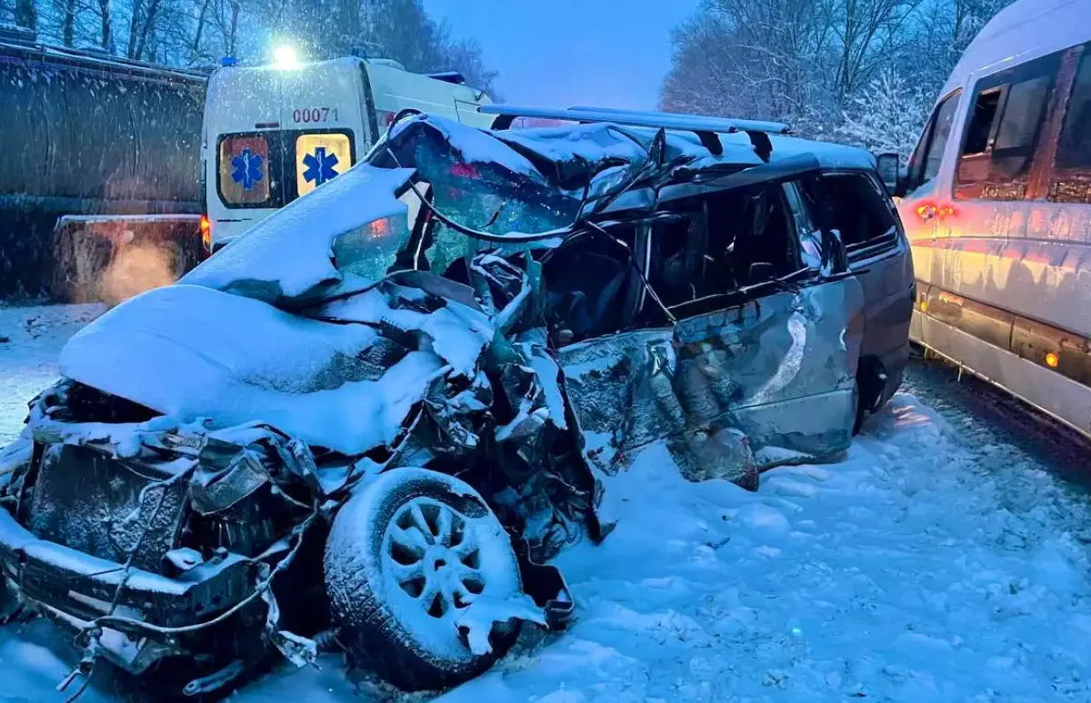 Два пассажира минивэна скончались в результате аварии в Мокшанском районе