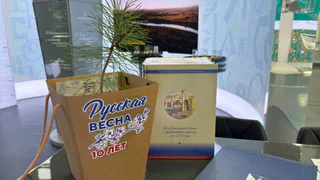 Саженец Крымской сосны высадят в зоопарке Пезы