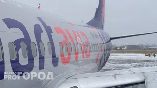 В Усинске дикое животное чуть не привело к трагедии с самолетом