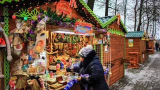 19 елочных базаров будет открыто в Рязани
