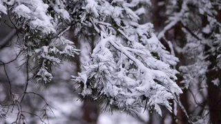 Татарстан вложил 106 млрд рублей в экологию за восемь лет