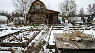 Со сходом снега беру 3 литра уксуса — и не мучаюсь, как соседи: на участке спокойно всю весну и урожай досрочно