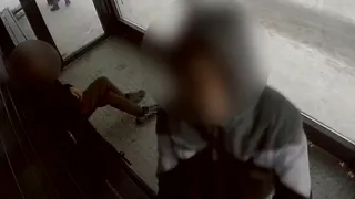 В Коми полиция нашла подростков, крушивших остановки в Краснозатонском