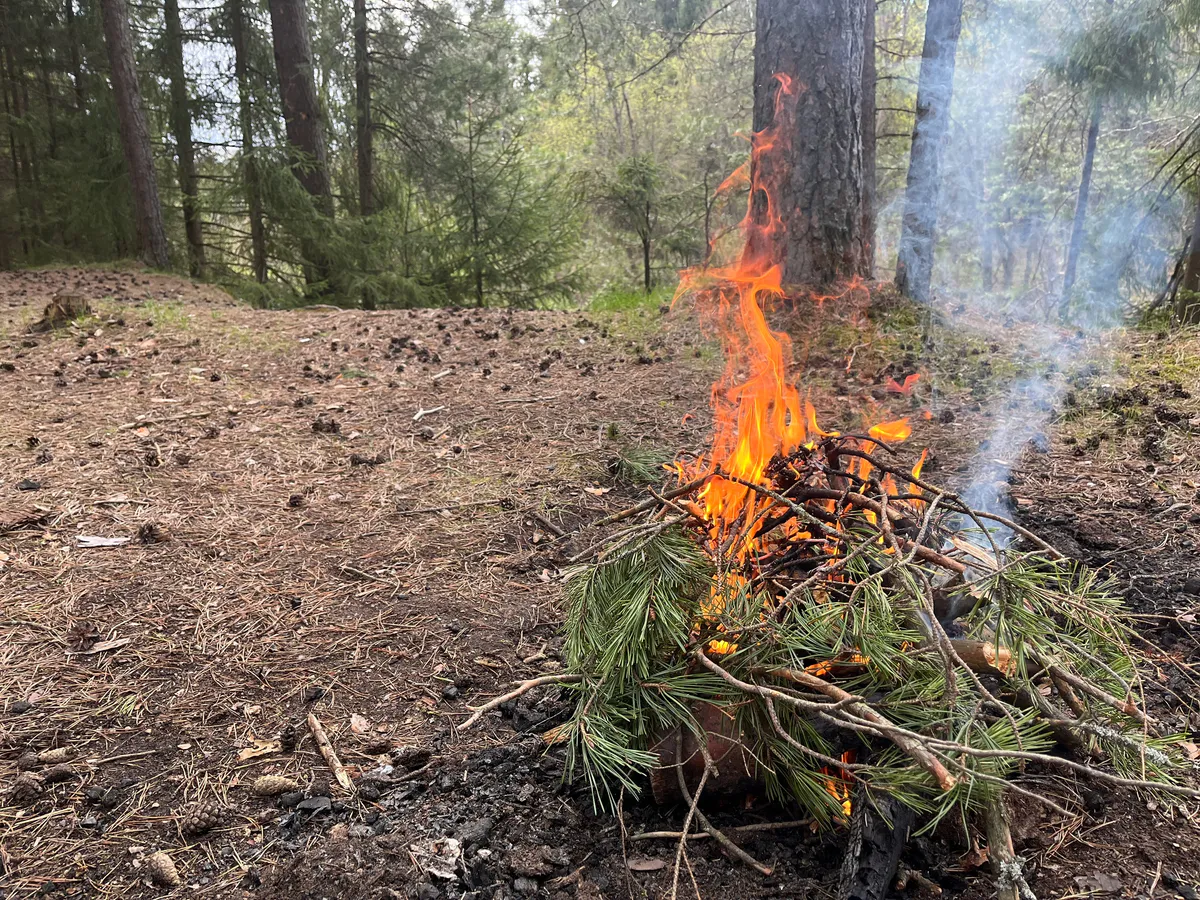 634 термические точки, но ни одного лесного пожара: итоги сезона в Татарстане