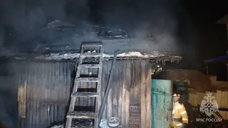 Пожарные Челябинской области вывели людей из огненной ловушки