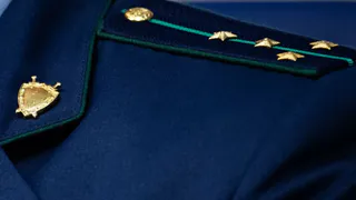 Муромская прокуратура пресекла преступную вырубку лесов