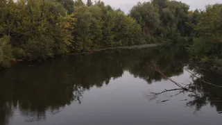 Уровень воды на Атмисе в Пензенской области превысил границы поймы