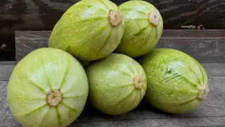 Рецепты из кабачков на зиму: простые и очень вкусные заготовки