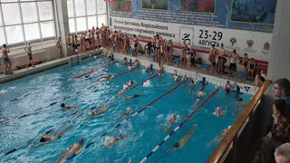 Во Владимире прошёл чемпионат города по плаванию с участием более 250 спортсменов