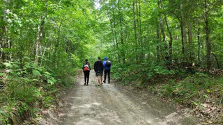 В Коми женщина двое суток плутала по лесу