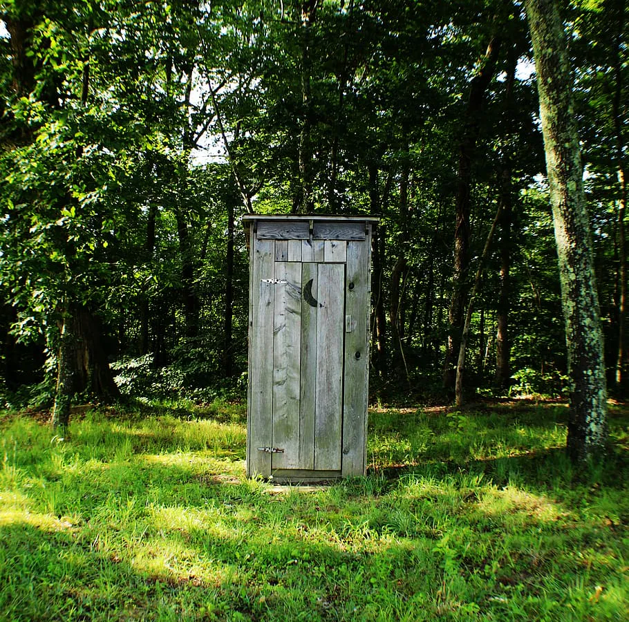 Как избавиться от неприятного запаха в выгребной яме с помощью ботвы томатов