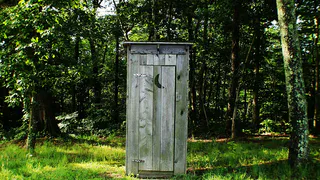 Как избавиться от неприятного запаха в выгребной яме с помощью ботвы томатов