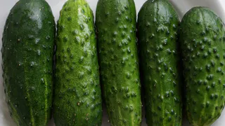 Огурцы для засолки и маринования — выбираю эти топ-сорта с плотной мякотью и сладким вкусом: они не подводят