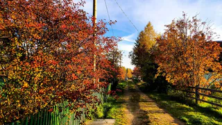 Синоптики пообещали челябинцам мягкий, теплый и сухой октябрь