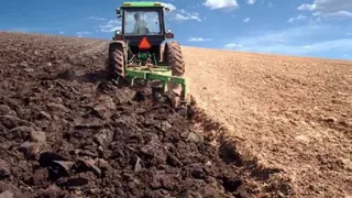 В Брянской области чиновники незаконно продавали землю