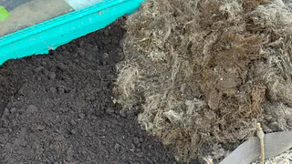 Кроты сбежали как ошпаренные: узнала гуманное средство - ни грамма химии и результат за сутки