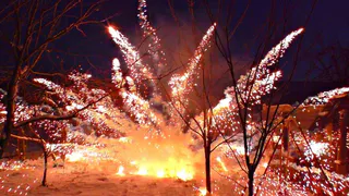 Новый Год без салютов