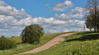 В Пронском районе нашли пропавшую 9-классницу