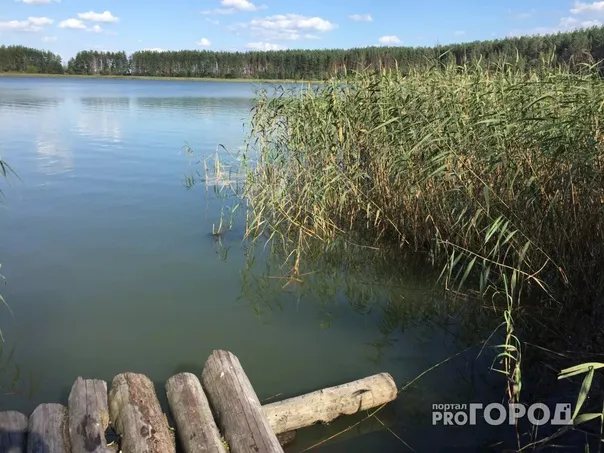 В Челябинской области установилась прекрасная погода