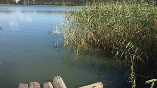 В Челябинской области установилась прекрасная погода 